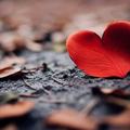 Why Everyone Wants Deep Connection but …