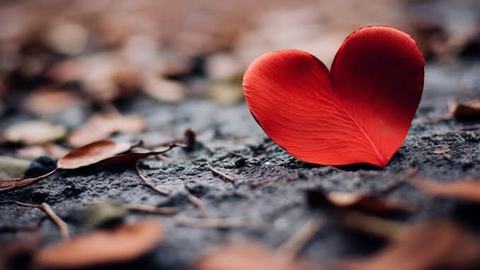 Why Everyone Wants Deep Connection but Avoids Vulnerability In Relationships