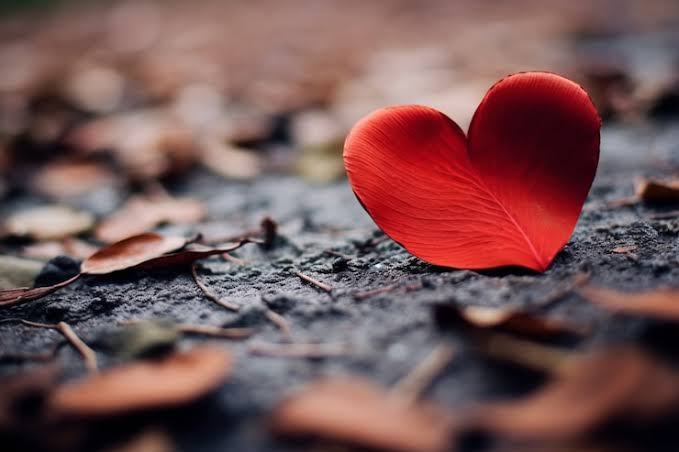 Why Everyone Wants Deep Connection but Avoids Vulnerability In Relationships